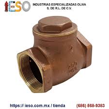 602224-VALVULA CHECK DE 2"