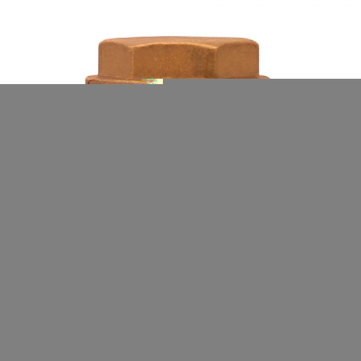 [79H 51] 51MM.VALVULA CHECK HORIZONTAL ROSCAR