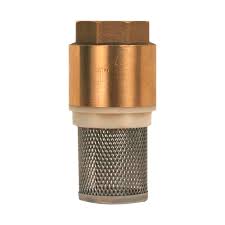 [VPPRF 51] 51MM.VALV.PICHANCHA C/RES.A.INOX.Y FILTRO