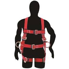 [137423] Arnes posicion 40-44